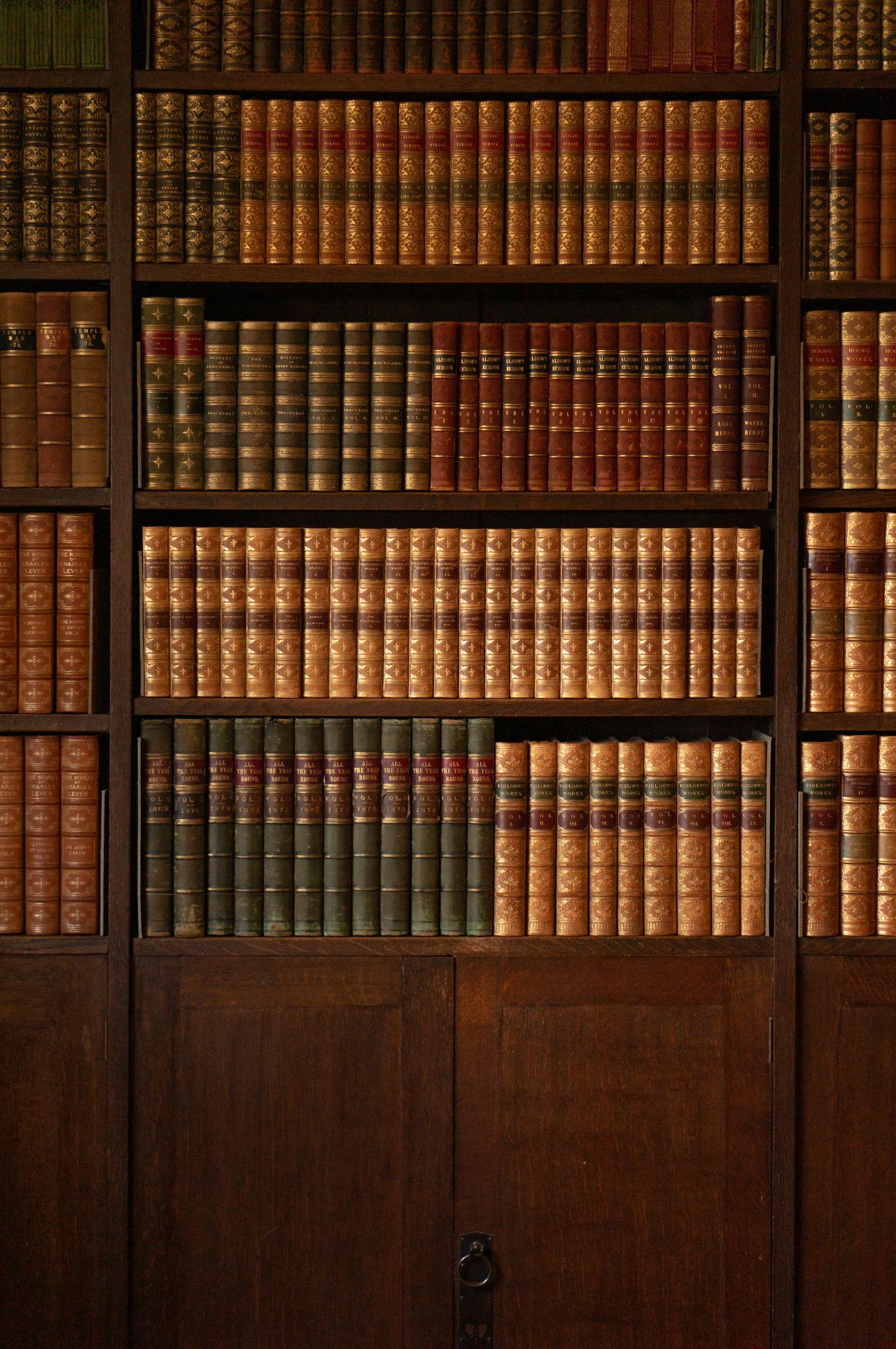 Rows of leather-bound books with gilt spines on a library shelf